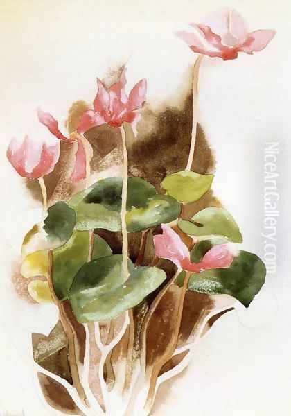 Cyclamen - view 1