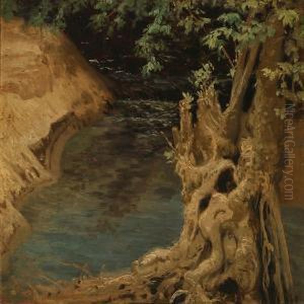 River Bank With A Gnarled Tree At Dust - view 1