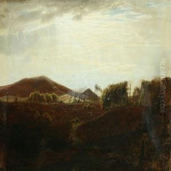 Landscape - view 1