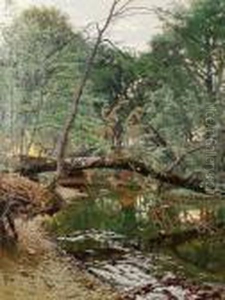 River Landscape - view 1