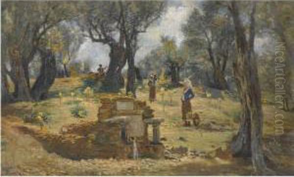 Olive Grove In Hymettos - view 1