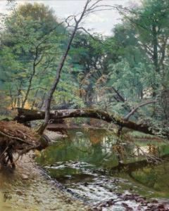 Sous-bois