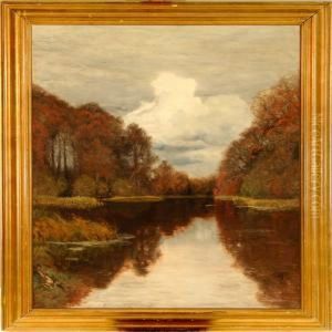 Stream In An Autumn Forest