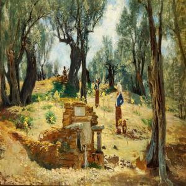 Olive Grove In Hymettos, Greece - view 1