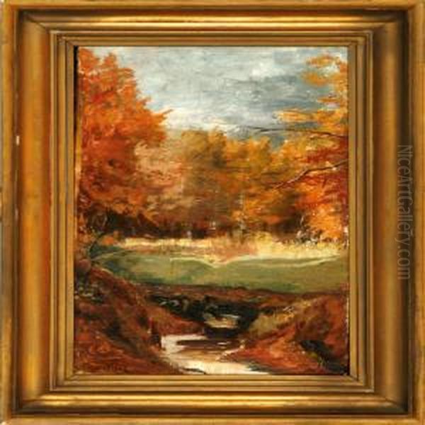 Autumn Forest With A Stream - view 1