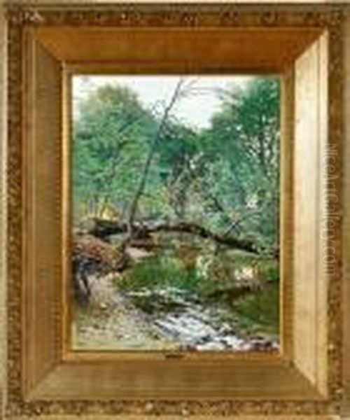A Spring Forest - view 1