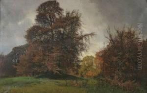 Autumn Landscape Autumn Landscape