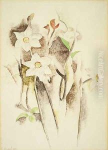 Narcissus by Charles Demuth