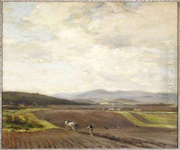 Ploughing, Lammermuir Hills - view 1