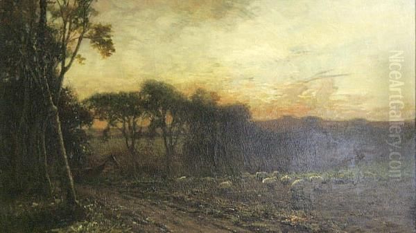 Sheep Grazing At Dusk - view 1