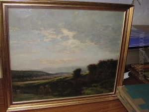 "newton Moors", Extensive Landscape