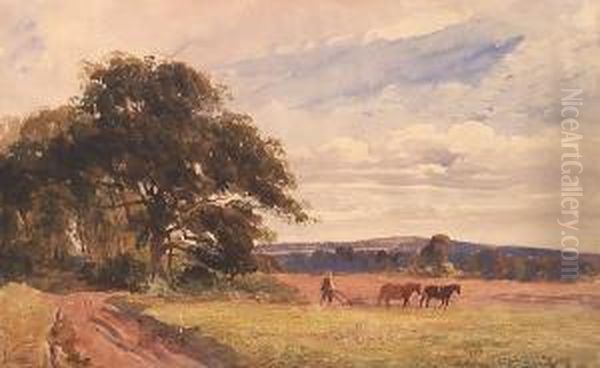 The Ploughman - view 1