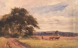 The Ploughman by Richard Pratchett Noble