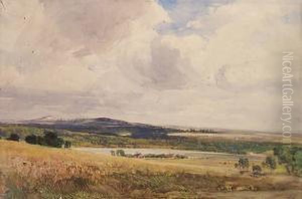 Near Brancaster - view 1