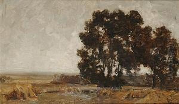 Extensive Landscape With A Cornfield In The Foreground - view 1