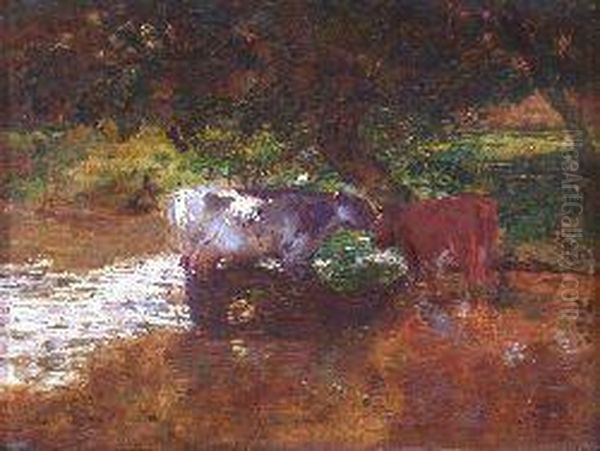 Cattle Watering In A Shady Stream - view 1