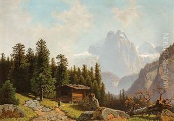 Pejzaz Alpejski Z Chlopka Na Drodze - view 1
