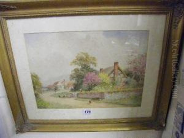 Garden - view 1