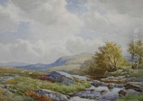 Extensive River Landscape With Sheep Grazing - view 1