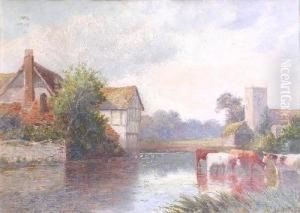 A Summer Evening