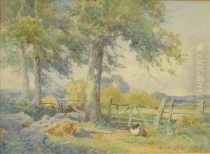 Poultry By Agate In A Landscape Poultry By Agate In A Landscape
