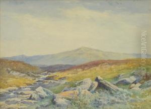 A Moorlandstream - view 1