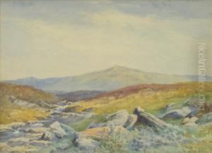 A Moorlandstream by John Bates Noel