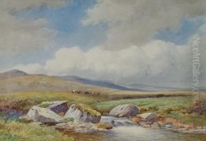 Dolyddelan Moor Dolyddelan Moor