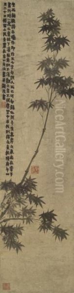 Bamboo In Rain - view 1