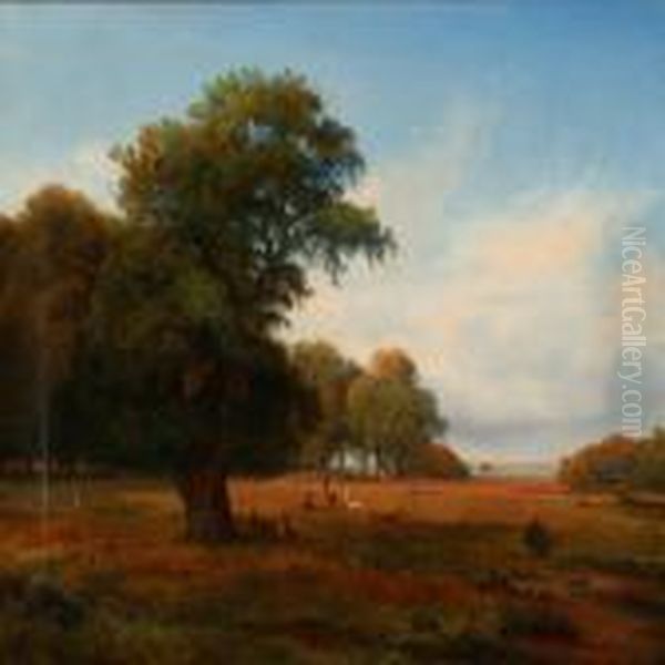 Skov Partie Ved Vejlefjord - view 1