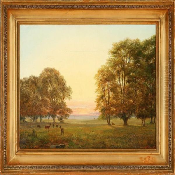 Summer Evening In Thedeer Garden, Denmark - view 1
