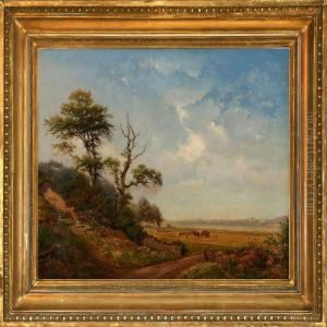 Harvest Landscape Harvest Landscape