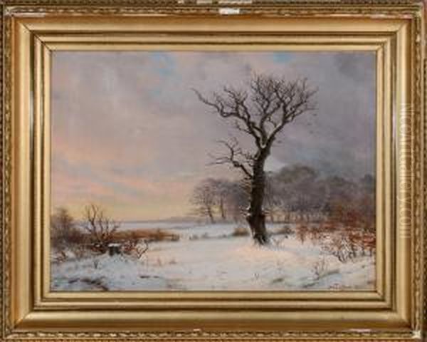 Winter Scene With An Old Crooked Tree In The Foreground - view 1