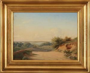 A Danish Summer Landscape A Danish Summer Landscape