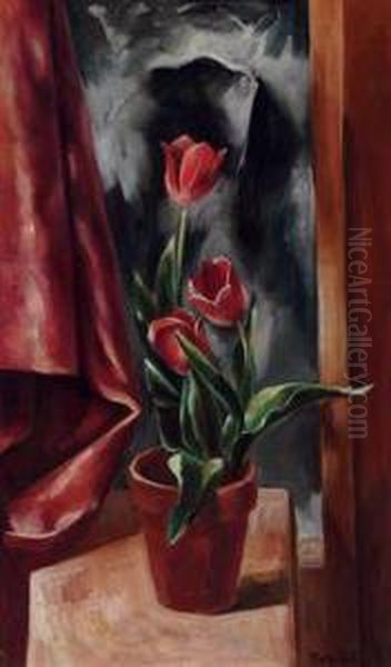 Tulips - view 1
