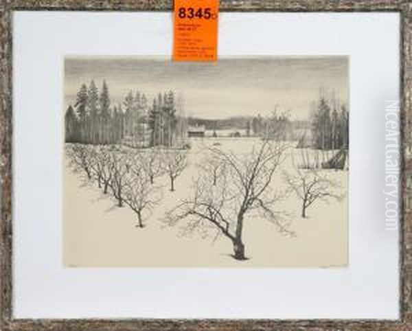 Vinterlandskap - view 1