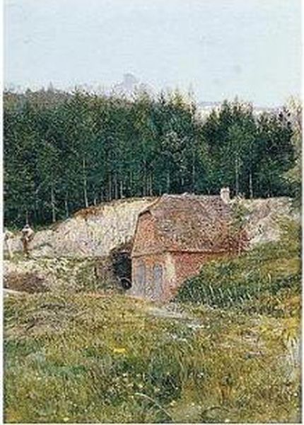The Fir Wood - view 1