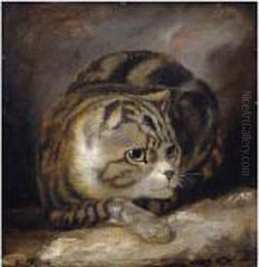 A Wild Cat by James Northcote