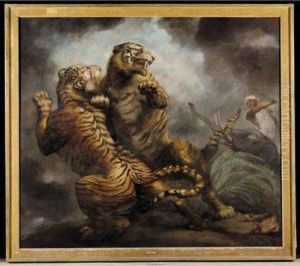Tiger Hunting