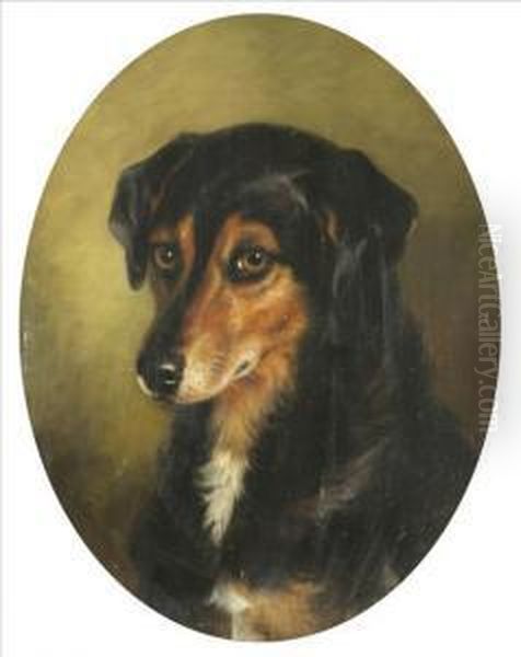 Study Of Asheepdog - view 1