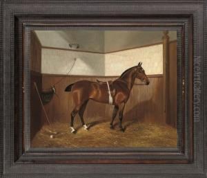 The Polo Pony 'jessie' With Stick And Ball by Benjamin Cam Norton