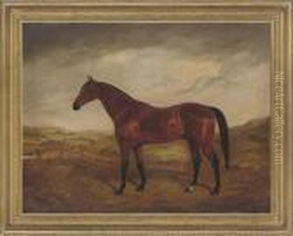 A Bay Hunter In A Landscape - view 1