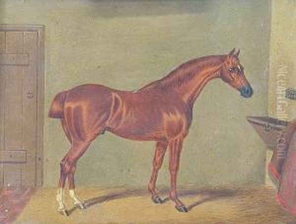 Horse Portraits - view 1