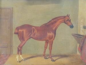 Horse Portraits by Benjamin Cam Norton