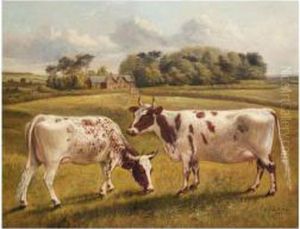 Pinky Ii And Polly Ii, Two Prize Pedigree Ayrshire Cows In A Spring Landscape Pinky Ii And Polly Ii, Two Prize Pedigree Ayrshire Cows In A Spring Landscape
