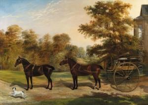 Carriage Horses Harnessed In Tandem by Benjamin Cam Norton