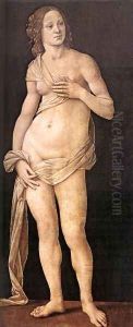 Venus 1493-94 thumbnail