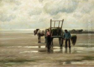 Kelp Gathering