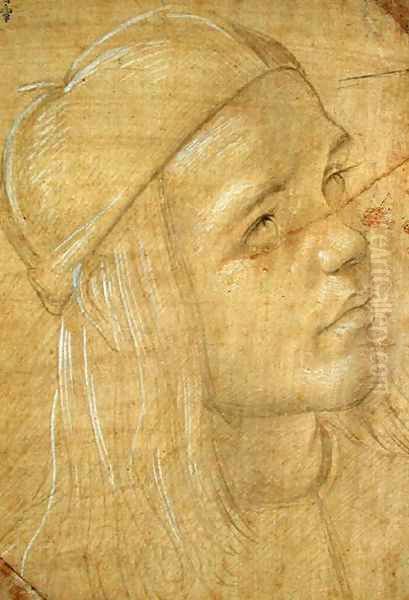 Head of a young man, c.1480 - view 1