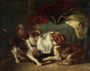 Mit Einem Federbusch Spielende Hunde by Emmanuel Noterman